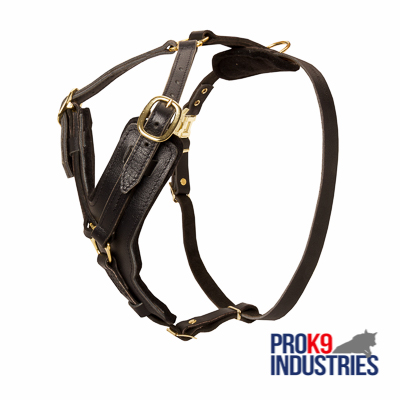 Padded Leather Swiss Mountain Dog Harness for Agitation Training [H10##1116 Leather  harness with Y-shaped chest plate] : Swiss Mountain Dog Breed: Dog Harness,  Muzzle, Collar, Leash, Dog Supplies