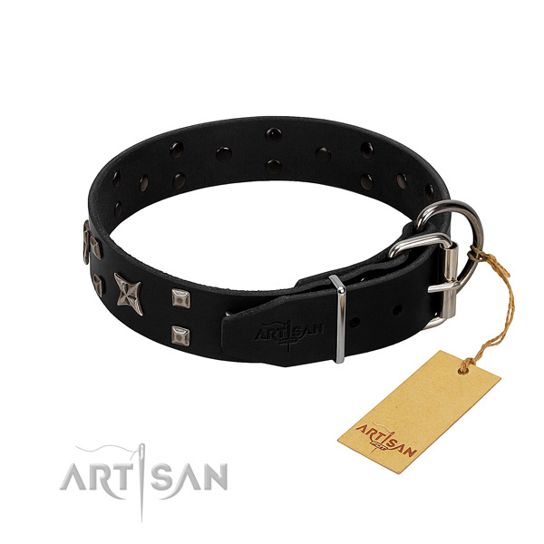 Comfortable to wear leather dog collar for everyday wear
