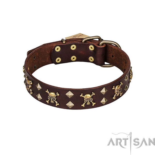 Brown Dog Collar with Brass Plated Fittings