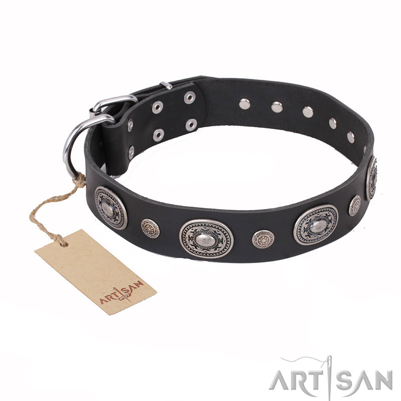 "Mr De-Luxe" FDT Artisan Black Leather Dog Collar with Silver-like Plates