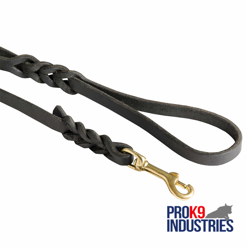braided leather dog leash
