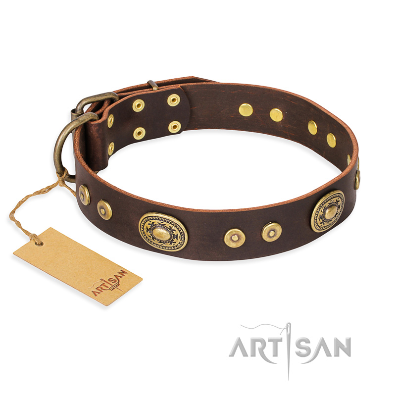 'One-of-a-Kind' FDT Artisan Handmade Decorated Brown Leather Dog Collar