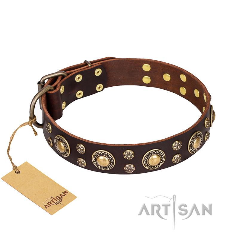 "Flower Melody" FDT Artisan Brown Leather Dog Collar with Mixed Studs