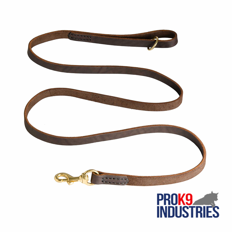 Stitched Leather Dog Leash for Training and Walking