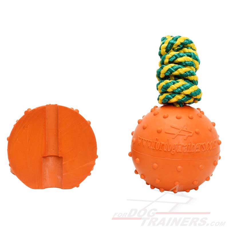 orange rubber dog ball
